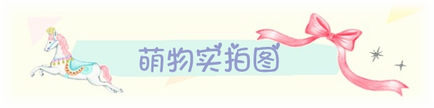渚 子 * Cô gái Nhật Bản ngọt ngào và đáng yêu miếng đệm ngực chèn phúc lợi vú nhỏ ah ~ combo miếng mút độn áo ngực