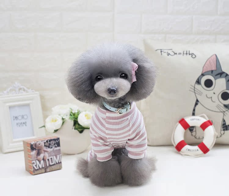 Bộ đồ ngủ cho chó bốn chân với quần áo mùa thu Quần áo Teddy hơn gấu anh em chiến đấu với chó cưng - Quần áo & phụ kiện thú cưng áo poodle