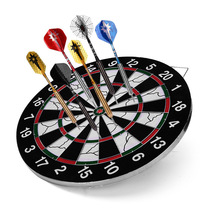 WIN MAX flocking dart board set Do not shoot