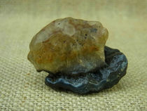 Chocolate pudding agate crystal shape natural stone collection Alxa Gobi agate raw stone D