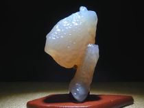 Warm winter Ling Agate shape stone collection Alashan Gobi Agate rough stone