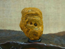 Hericiums head money eye stone pictographic natural stone collection Alxa Gobi agate raw stone J