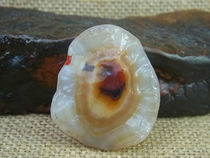 Flower heart candy heart inner wall shape mosaic natural stone collection Alxa Gobi agate raw stone J