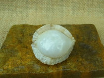 Fruit boutique agate pulp shape natural stone collection Alxa Gobi agate raw stone D