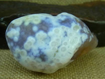 Relief flower eye agate Silver root eye stone natural stone collection Alxa Gobi agate raw stone C