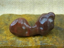 Boutique stone core Gobi elf seed natural stone collection Alashan Gobi Agate rough D