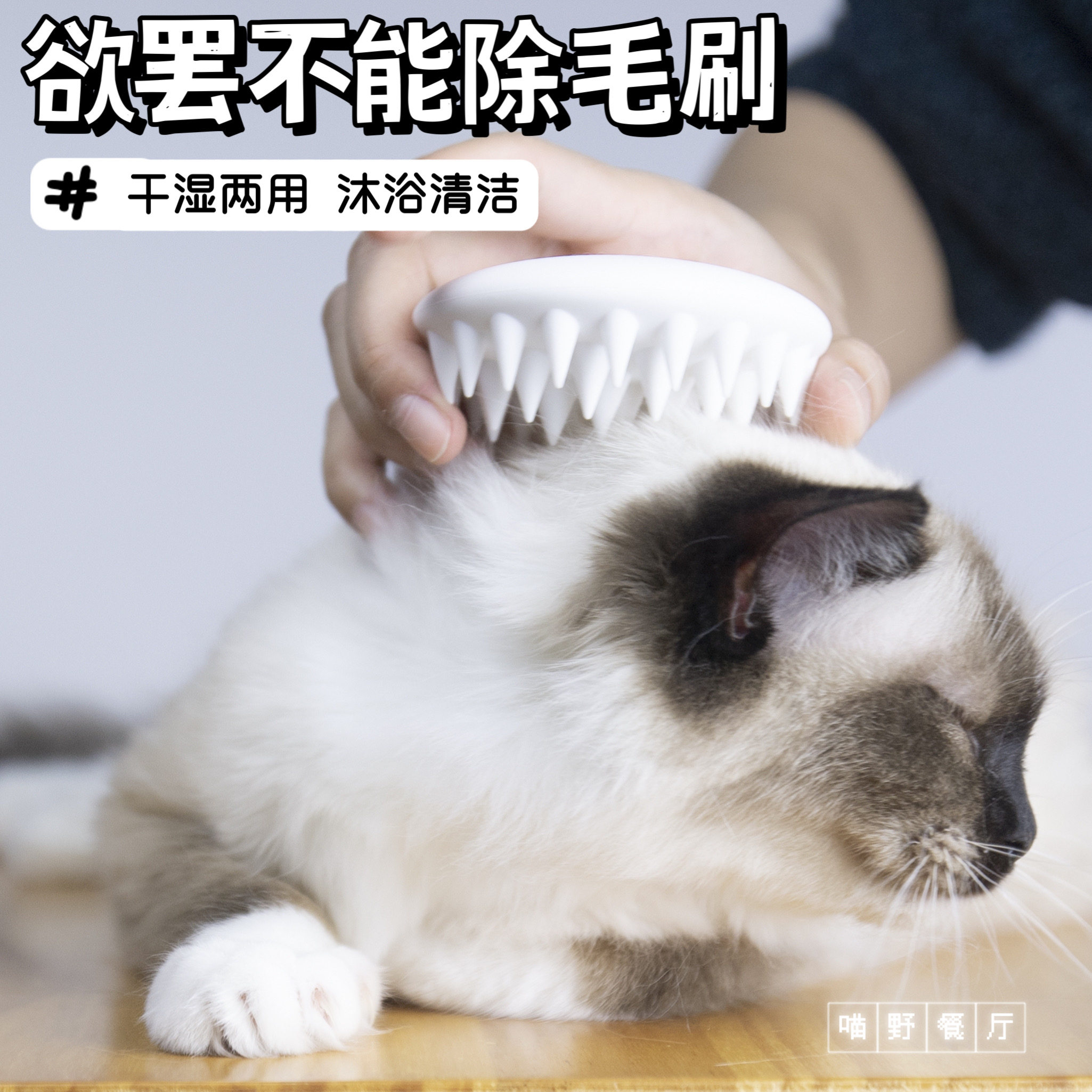 Cat and dog comb special cat and dog hair cleaner Xiaopei cat gloves pet cat comb hair to remove floating hair brush