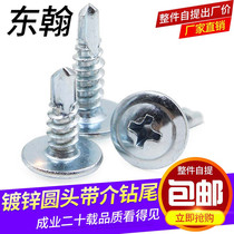 Galvanized large flat head drilling tail screw self-tapping screws dovetail nail colored steel Watt sheet steel screws M4 2