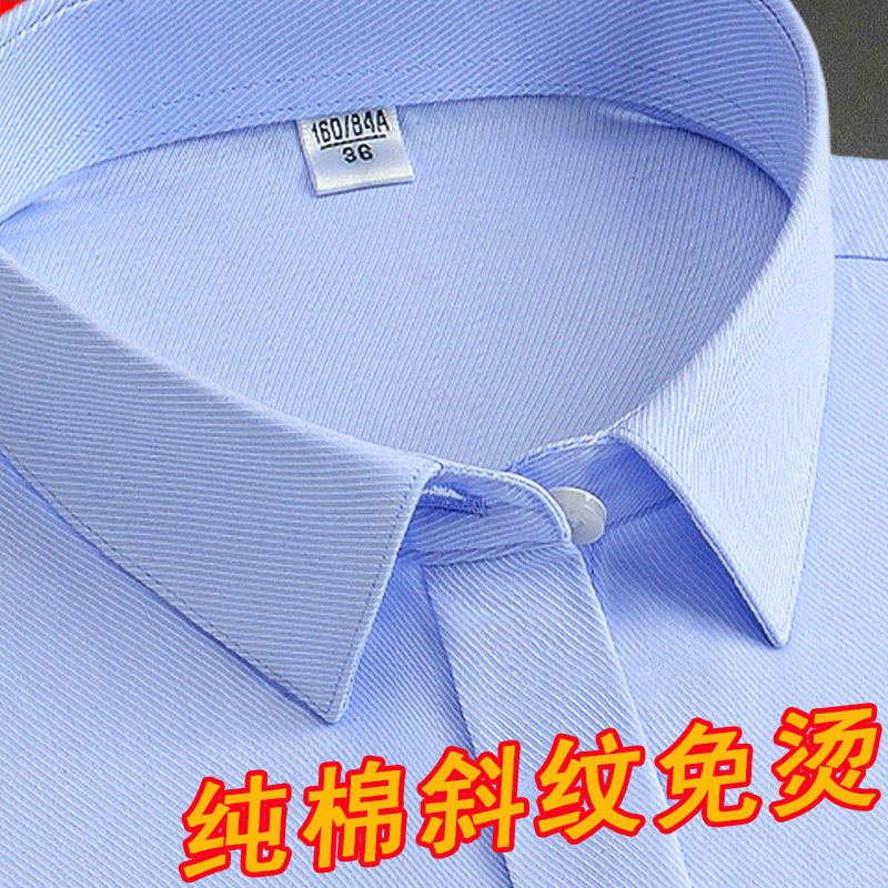 Blue Twill Shirt for Women, Long-Sleeved, Dp Pure Cotton, No-Iron, Slim Fit, Professional Formal Workwear, Plus Size, All-Cotton Shirt, Spring