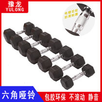 Cast iron hexagonal dumbbells 20kg 40kg coated dumbbells men fitness home private education studio fixed dumbbells