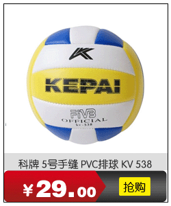 Ballon de volley - Ref 2010729 Image 10
