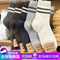 Autumn and winter warm wool socks two bars striped socks Mori retro simple tide women Korean pile socks