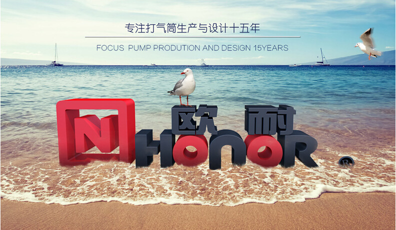 Pompe à vélo HONOR - Ref 2390553 Image 6