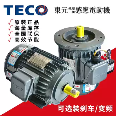 Taiwan TECO TECO brake motor Motor 0 37 0 75 1 5 2 2KW 3HP Horizontal vertical
