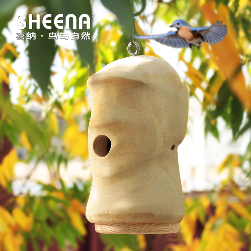 Xina Wooden Birdhouse for Courtyard Outdoor Use, DIY Parent-Child Painting for Kindergarten Environmental Creation