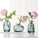 Маленькая рельефная простота ins bottle vase mini, цветок, прозрачный цвет цветов