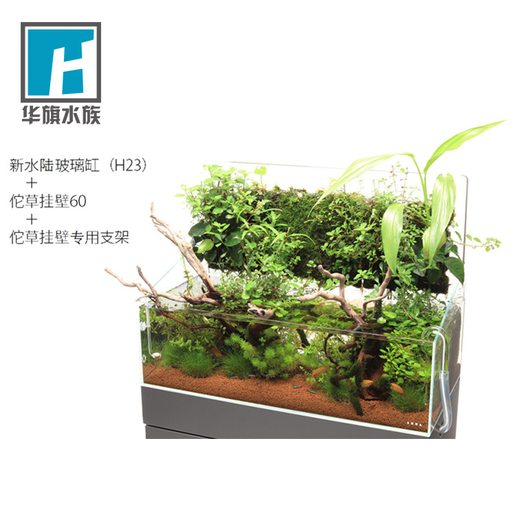 (ADA)DOOA grass hanging wall 60 bracket acrylic transparent bracket stainless steel bracket Shunfeng