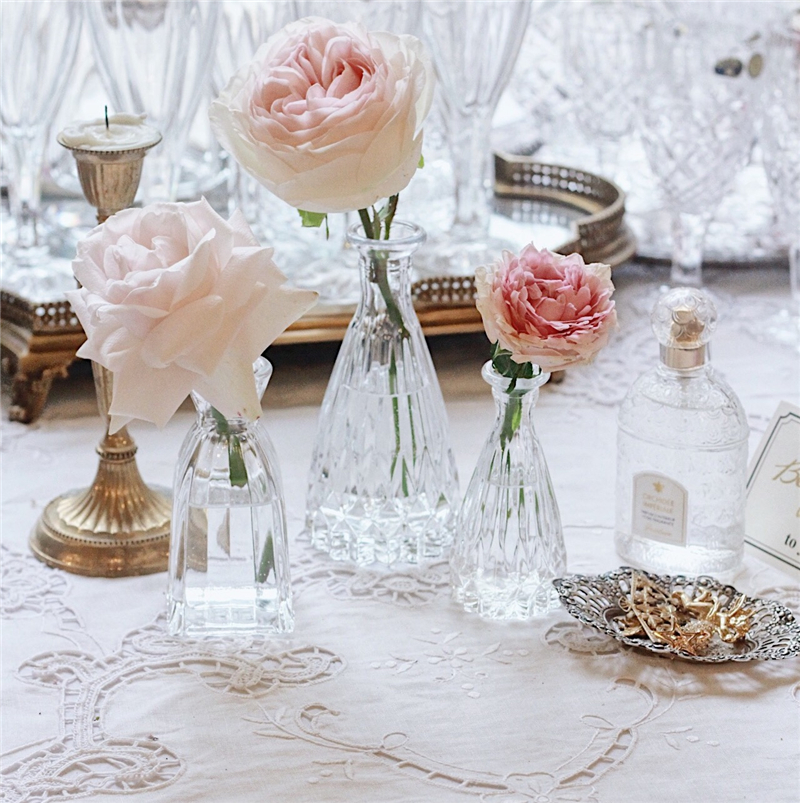 Light luxury home retro transparent glass t-stripe LACESHABBY fresh original flower arrangement flower hydroponic vase