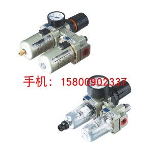 Two-style assembly filter WFF03-AC2010-3010-02-03-A-D