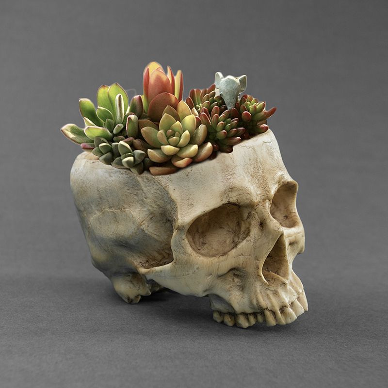 Skull Flower Pot Pen Holder Makeup Brush Storage Tube Simulated Skull Reptile Pet Ornament Halloween Creative Decoration