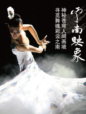 DVD Yang Liping Yunnan Imaging's 10th Anniversary Commemorative Performance