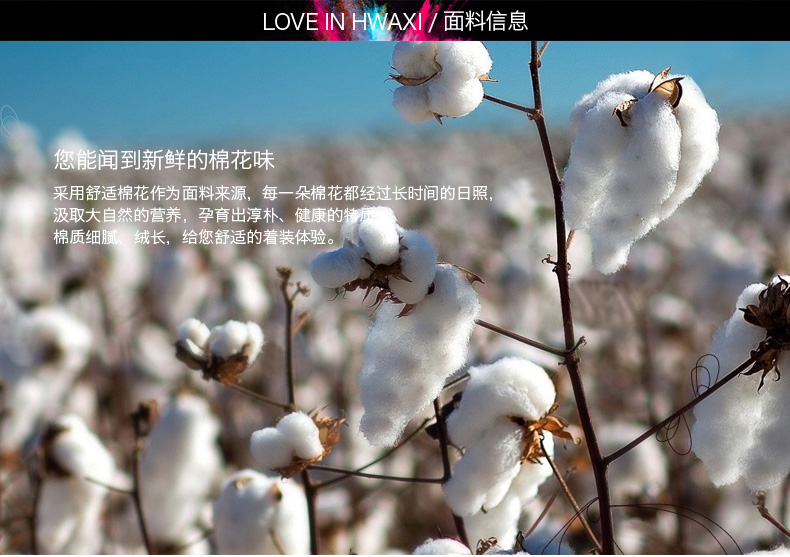 Pantalon collant jeunesse doux en coton - Ref 750436 Image 8