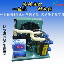 One drag two fish tank refrigerator fish tank chiller seafood fish pond chiller thermostatic machine