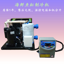 External electric box type seafood fish tank refrigerator fish pond refrigerator fish tank chiller fish pond chiller