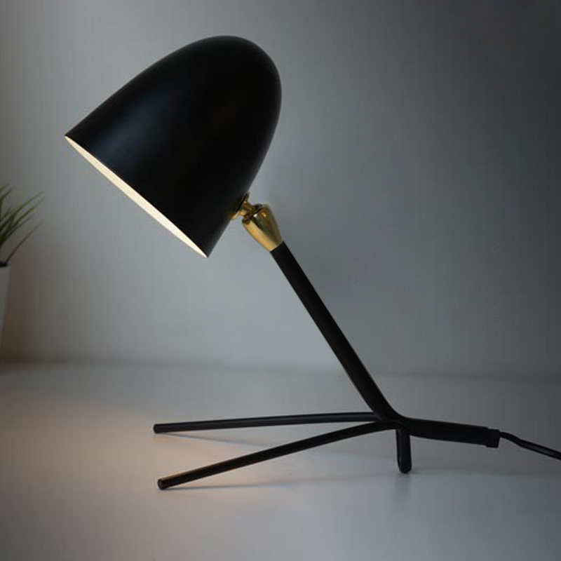 ���ʦ�ĵƼ�ŷ��ʽ���Ŵ�ͷ���ϵ�SJS-LOO4-2