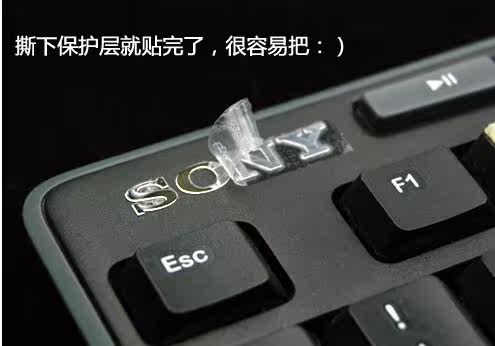 Autocollant pour téléphone portable - Ref 1372439 Image 11