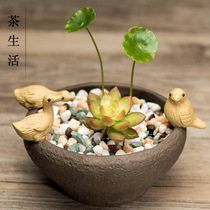 Tea pet ornaments purple sand duck bird fleshy small flowerpots hydroponic pot desk home decoration small potted plants