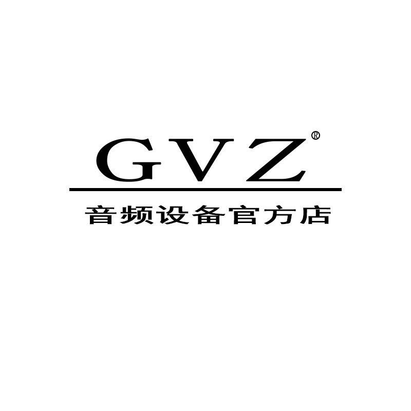 GVZ 音响品牌店
