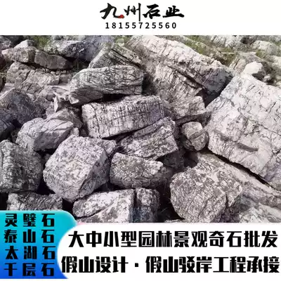 Fine Rockery stone tortoise wholesale scalp tortoise stone barge stone white turtle texture good