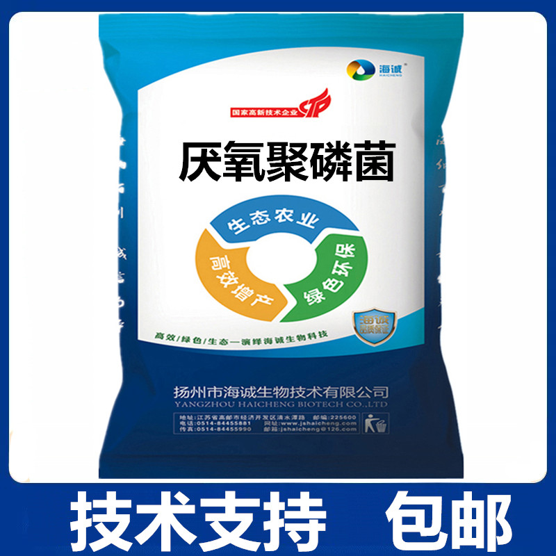 包邮厌氧聚磷菌剂黑臭河道污水处理去除总磷沼气池海诚微生物菌粉
