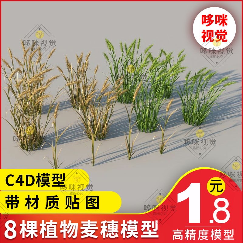 C4D model engineering material crops crop model Grain green leaves and seedlings Wheat ears wheat material rice plants