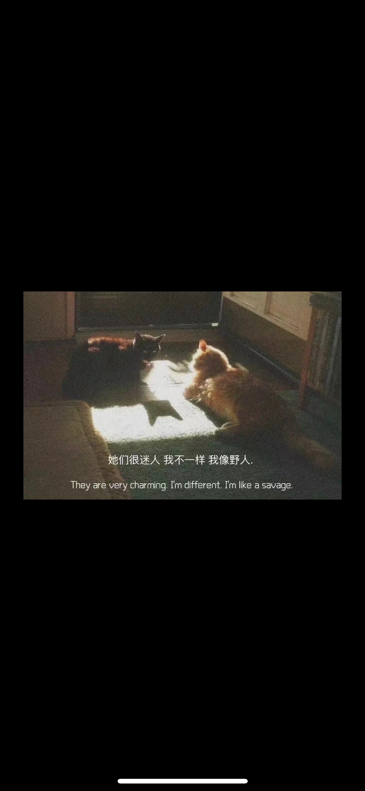 iLT裤裤Boy