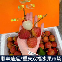 Zun Blue Gui Flower Lychee Lychee Fresh Hayinan Airchair Direct to 3 catty box Gift Boxes Chongqing Shuangfu Fruit Tongchen