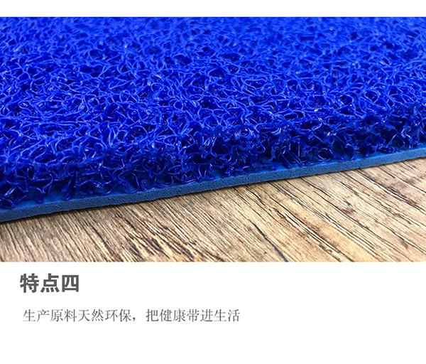 Xử phạt cắt dây tròn thảm thảm vào cửa ra vào cửa hội trường mat dày PVC trượt bụi thảm thảm đẹp