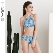 HSIA Reverie spa swimsuit Female fashion beach bikini set vacation small chest split swimsuit female