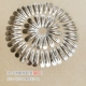 【4,9 см серебра BB Pick 50】