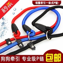 Little dog P chain leash with teddy dog chain small medium-sized large dog golden retriever walking dog rope pet supplies