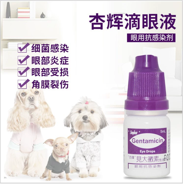 Đài Loan Xinghui Xem Dacromycin Micro-rau Pet Dog Cat Eye Drops Dog Conjuncunch viêm giác mạc Chống viêm Thuốc nhỏ mắt - Cat / Dog Beauty & Cleaning Supplies