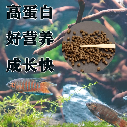 Douyu Special Feed Feed китайский Douyu Thai Douyu увеличивает красные и красивые мелкие декоративные частицы, плавающие медленно кормить