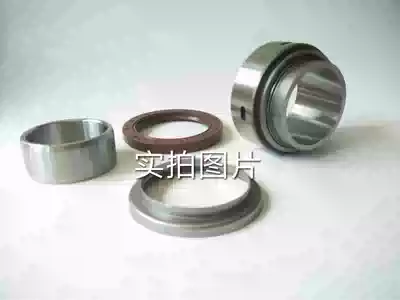 Italian ROBUSCHI RBS75 85 86 Roots fan head shaft seal sleeve piston oil seal dust cover