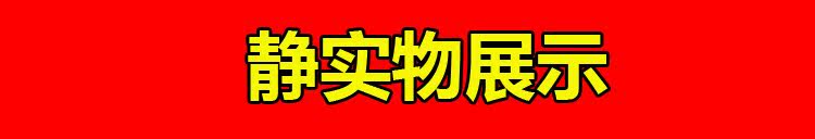 Chaussures de printemps - Ref 917221 Image 22