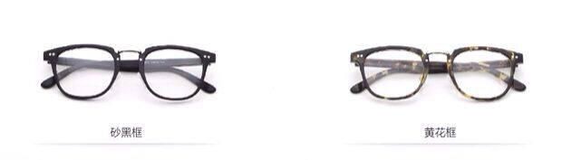 Montures de lunettes en Plaque - Ref 3139001 Image 15