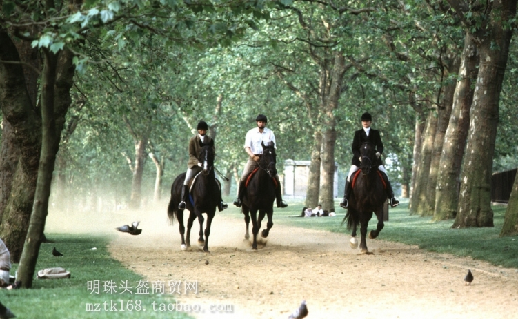 Article équitation pour homme - Ref 1383374 Image 15