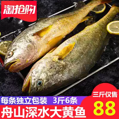 Zhoushan Donghai non-wild yellow fish 3 kg 6 fresh non-frozen yellow croaker deep-sea ecological deep-water yellow fish