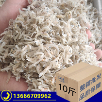 Zhoushan specialty light dried clove fish 500g small fish petrel fish silver fish sea catfish dried sea fish dried seafood a box of dried seafood