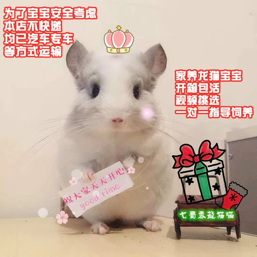 Сеть красный питомец мой сосед Totoro Totoro Live Cubs Торга Серый серебряный розовый розовый розовый уборщик с помощью вакцины